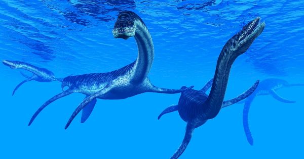 loch-ness-monster-could-be-real-life-stranger-things-creature-–-wales-online