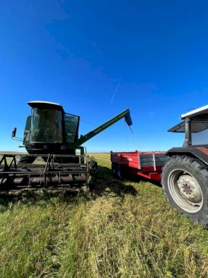 harvest-home-on-the-islands-out-west-and-up-north-–-the-scottish-farmer