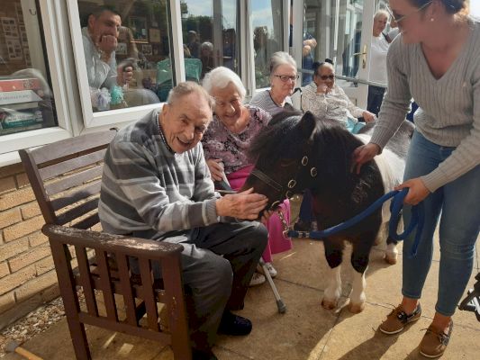 ware-care-home-residents-enjoy-special-visit-from-mini-pony-pistachio-–-in-your-area