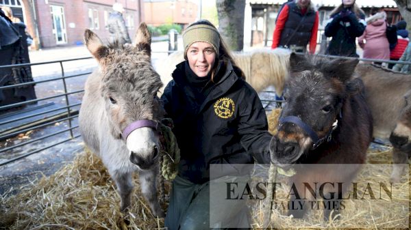 suffolk:-baylham-house-farm-launching-new-christmas-fair-–-east-anglian-daily-times