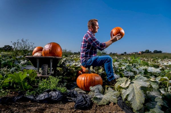 pick-of-halloween-events-across-yorkshire-–-yorkshire-evening-post