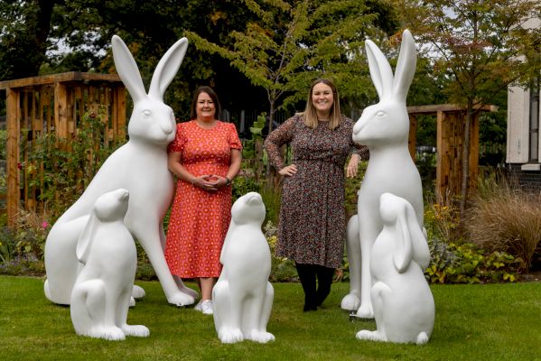 local-artists-urged-to-‘hop-to-it’-–-shetland-times-online