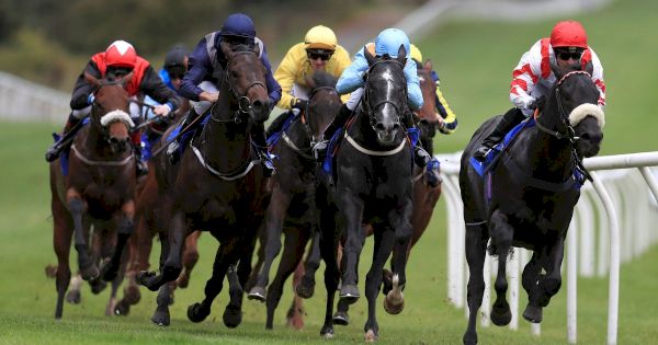 newsboy’s-horseracing-tips-from-all-four-of-monday’s-meetings-including-pontefract-nap-–-the-mirror