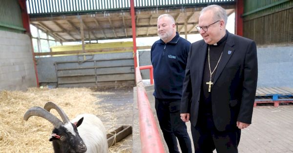 see-the-bishop-of-newcastle-and-hexham-bless-the-dogs-and-cats-of-newcastle-animal-shelter-–-chronicle-live
