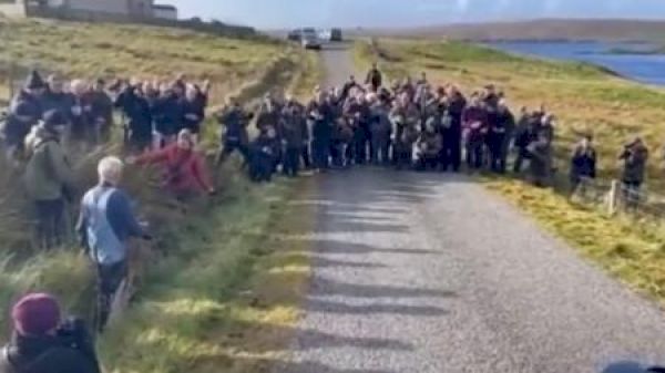gaggle-of-twitchers-‘flush-out’-warbler-|-news-–-the-times
