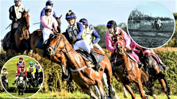 aintree-winner-flying-in-for-isle-of-wight-grand-national-–-isle-of-wight-county-press