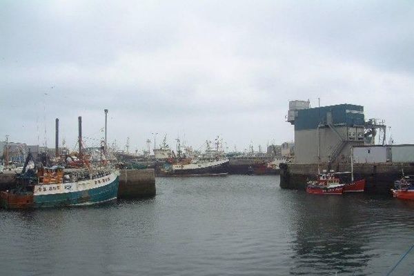 value-of-fish-landings-soars-at-fraserburgh-–-the-scotsman