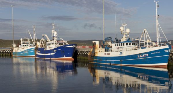shetland-vessels-landed-20%-more-fish-in-2021-–-undercurrent-news