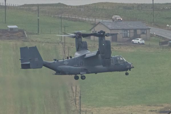 unusual-visitor-at-sumburgh-airport-–-shetland-times-online