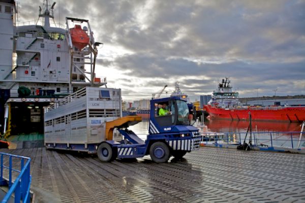 livestock-transport-under-the-microscope-—-again-–-the-orcadian