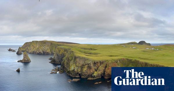 twitchers-head-north-in-search-of-rare-birds-on-uk-shores-–-the-guardian