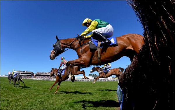 horse-racing-tips:-an-11/2-pick-leads-the-way-at-ayr-today-–-paddy-power-news