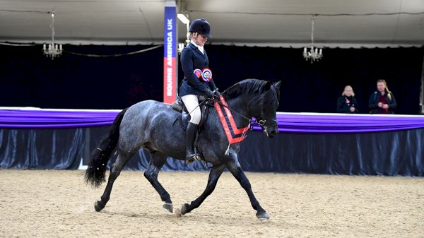 who-won-at-the-2022-bsps-heritage-championships?-–-horse-&-hound