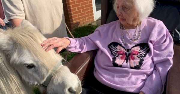 care-home-resident,-102,-overjoyed-as-surprise-animals-greet-her-on-special-day-–-the-mirror