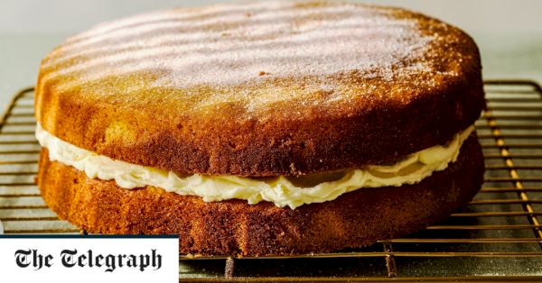 diana-henry’s-classic-shetland-cakes-for-the-perfect-sunday-tea-–-the-telegraph