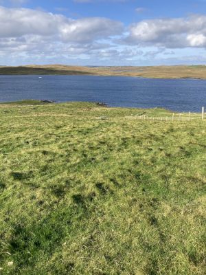 tenanted-croft-known-as-gruting-–-shetland-news