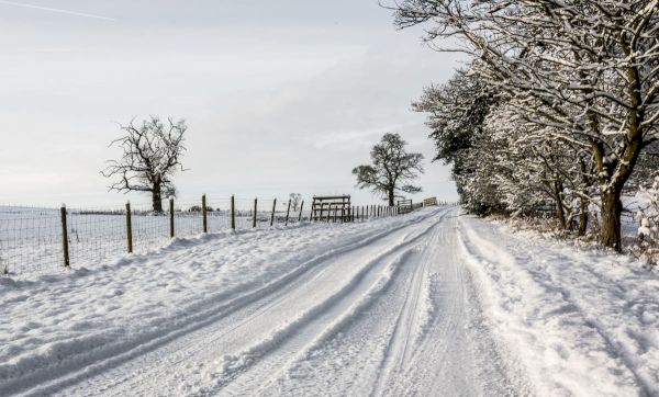 uk-weather:-‘arctic-blast’-to-strike-next-week-as-snow-warning-issued-–-the-independent