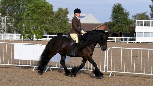 2022-bsps-heritage-m&m-supreme-ridden-final:-full-list-of-finalists-–-horse-&-hound