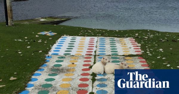 two-fluffy-lambs-playing-twister:-kieran-dodds’-best-phone-picture-–-the-guardian