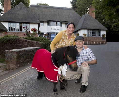 patrick-the-pony-launches-bid-to-beat-stormzy-and-cliff-richard-for-christmas-number-1-–-daily-mail