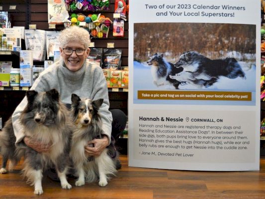 cornwall-shelties-win-contest,-appear-in-2023-pet-valu-charity-calendar-–-ottawa-citizen