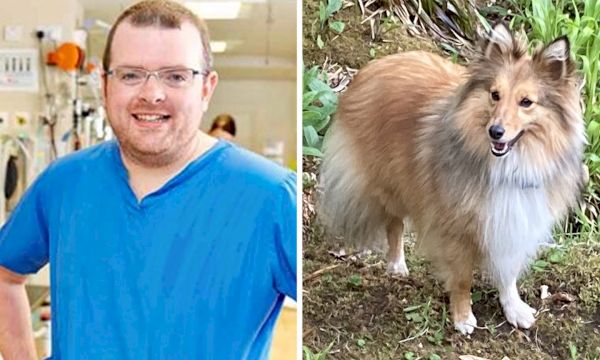 dog-walking-again-thanks-to-fife-vets’-tech-usually-used-on-humans-–-the-courier