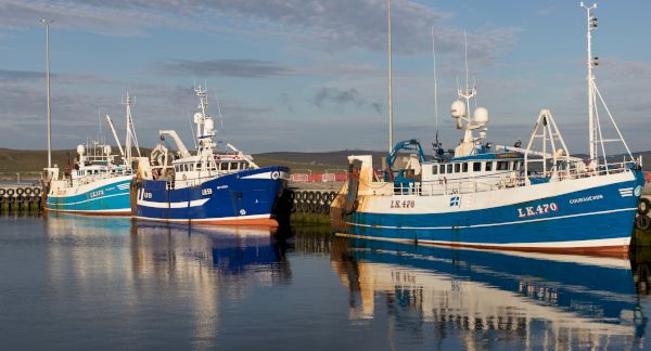 shetland-expects-recovery-in-2023-whitefish-landings-thanks-to-better-quota-settlement-–-undercurrent-news
