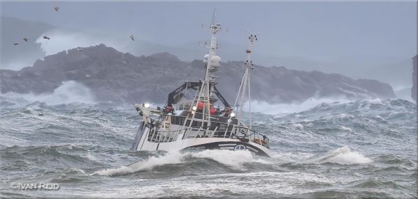 too-early-to-celebrate-‘successful-outcome’-of-fish-negotiations-–-shetland-news