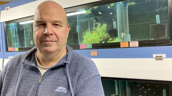 last-week’s-power-cut-wipes-out-pet-shop’s-tropical-fish-–-shetland-news