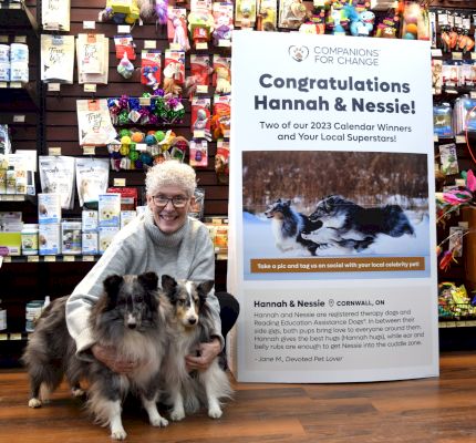 local-therapy-dogs-featured-in-pet-valu-fundraising-calendar-–-cornwall-seaway-news