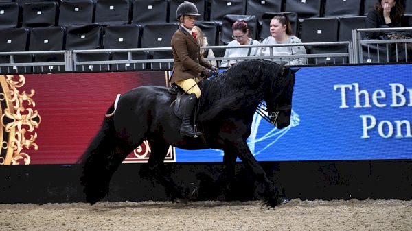 2022-bsps-heritage-m&m-supreme:-best-of-breeds-–-horse-&-hound