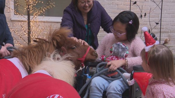 tiny-ponies-make-girl’s-dreams-come-true-despite-cancer-diagnosis-–-itv-news