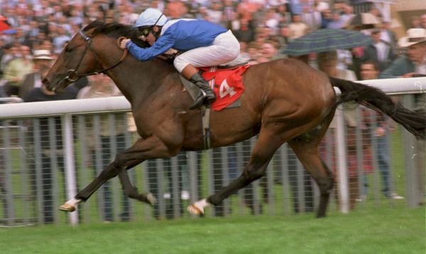 the-queen’s-favourite-horse-royal-applause-dies-aged-29-in-sad-christmas-news-for-the-king-and-royal-f…-–-the-sun