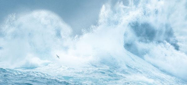 shetland-islands:-ocean-flights-–-oceanographic-–-oceanographic-magazine