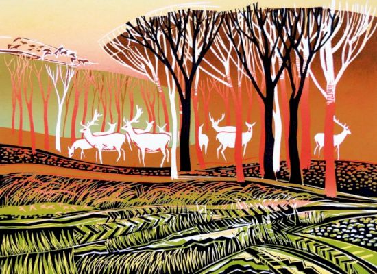stunning-wildlife-prints-feature-in-new-book-beauty-of-the-beasts-–-east-anglian-daily-times