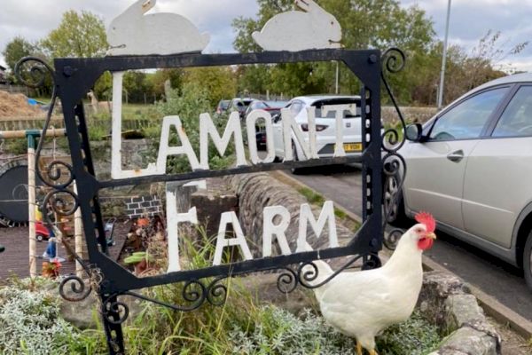 farm-project-in-need-of-help-during-tough-times-–-thegazetteco.uk