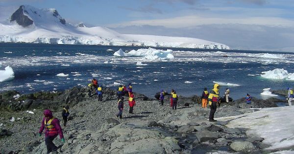 is-mass-cruise-tourism-safe-for-antarctic-ecosystems?-–-mercopress