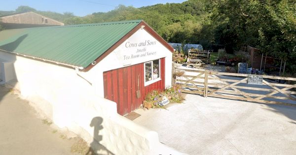 cows-and-sows-at-idless-near-truro-had-dirty-kitchen-and-expired-food-in-fridge,-food-inspection-finds-–-cornwall-live