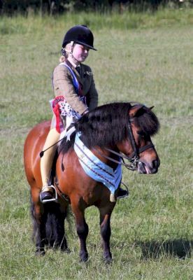 tom-best:-time-equestrianism-earned-its-‘social-licence’-status-–-the-scottish-farmer