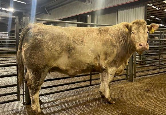 centre-record-smashed-at-thainstone-–-grampian-online
