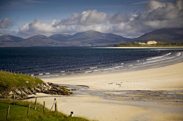 could-repurposing-empty-homes-help-bring-scots-back-to-the-islands?-–-heraldscotland