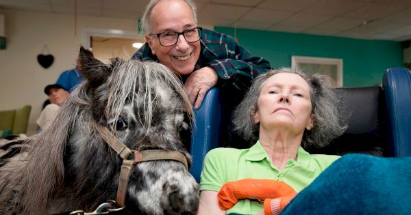 magical-moment-‘horse-whisperer’-with-dementia-left-visibly-moved-by-tiny-pony-–-north-wales-live