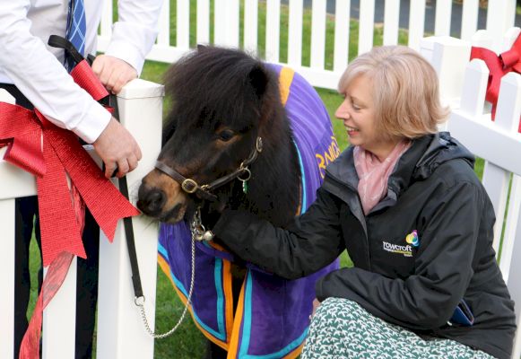 patrick-the-pony-has-new-pen-for-visits-to-rowcroft-hospice-patients-–-torbay-weekly