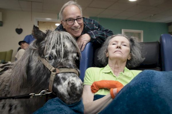 powys-horse-whisperer-with-dementia’s-magic-moment-with-pony-–-powys-county-times