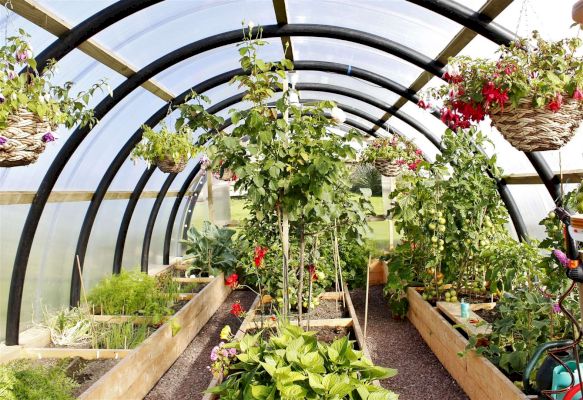 executive:-shetland-based-firm-scoops-environmental-award-–-inverness-courier
