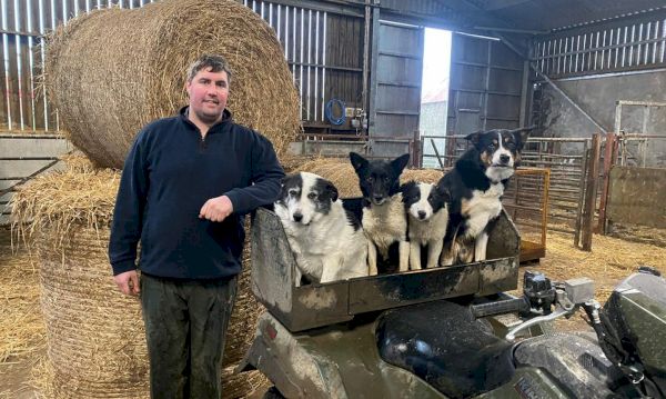 orkney-nfus-chair-will-make-sure-voices-are-heard-–-the-press-&-journal