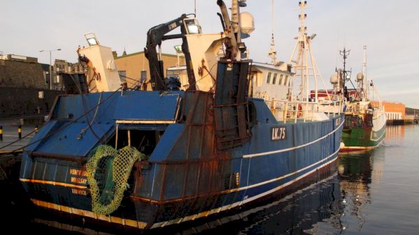 squid-at-record-levels-around-shetland-–-fiskerforum.com