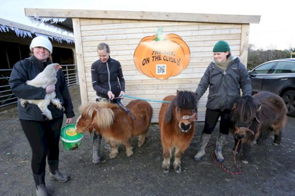 finlaystone-farmer-offers-youngsters-the-chance-to-meet-furry-friends-–-greenock-telegraph