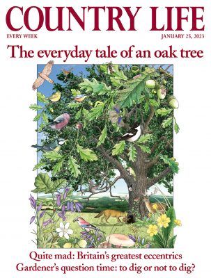 country-life-25-january-2023-–-country-life