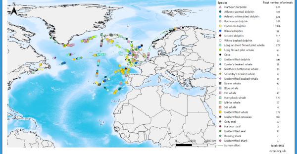 fred-olsen-records-over-4,000-wildlife-sightings-|-seatrade-cruise.com-–-seatrade-cruise-news